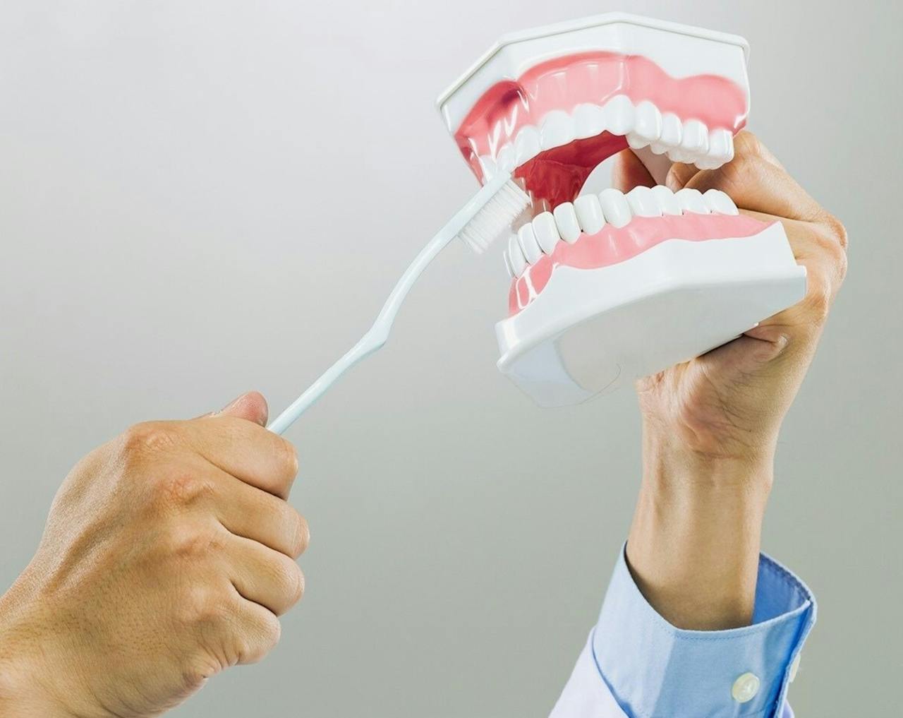 Close-up of hands demonstrating brushing on dental model for dentistry education.