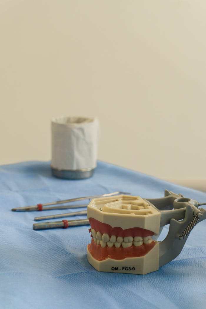 Detailed image of dental prosthetic model and tools inside a clinic setting.